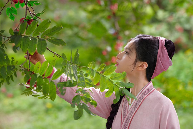 群像种田剧，《惜花芷》走出“上扬曲线”的创作密码 | 专访鄢蓓