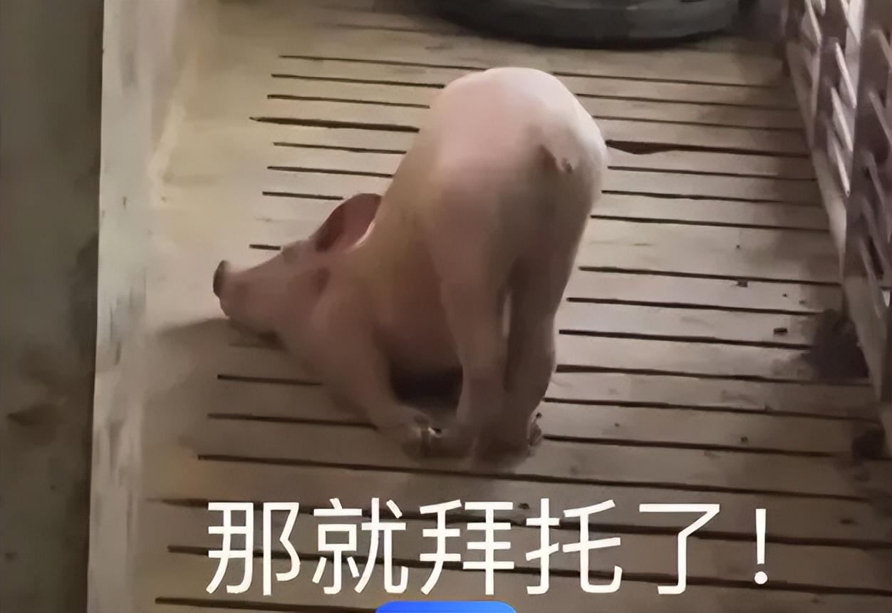 这届年轻人真猛！把刮刮乐都给买断货了……