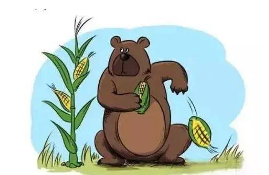 「狗熊掰棒子」？OPPO又悄悄暂停了一项业务……？