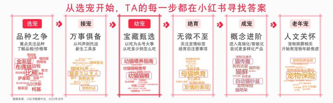 小红书的“幼崽经济学”