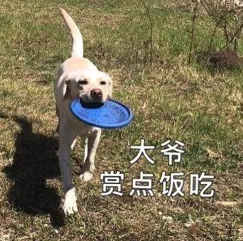 为了不让共享单车进城，出租车司机剑走偏锋杀红了眼……