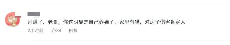 索赔数万？「提灯定损」被中介有模有样学走了？