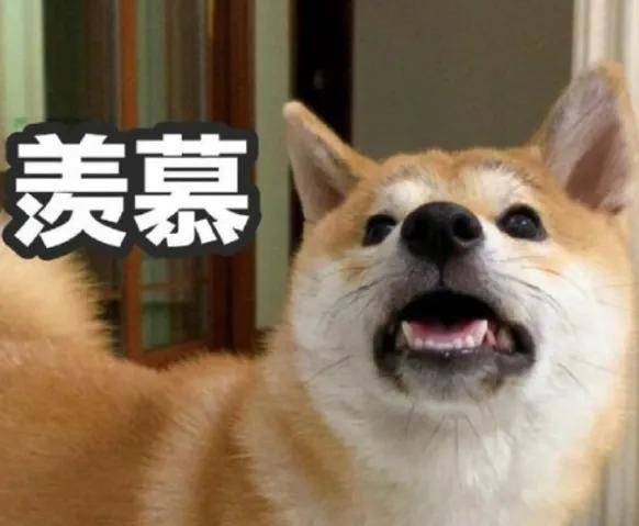 新能源车企谁最赚钱？有的单车利润超四万，有的卖一辆亏13万……