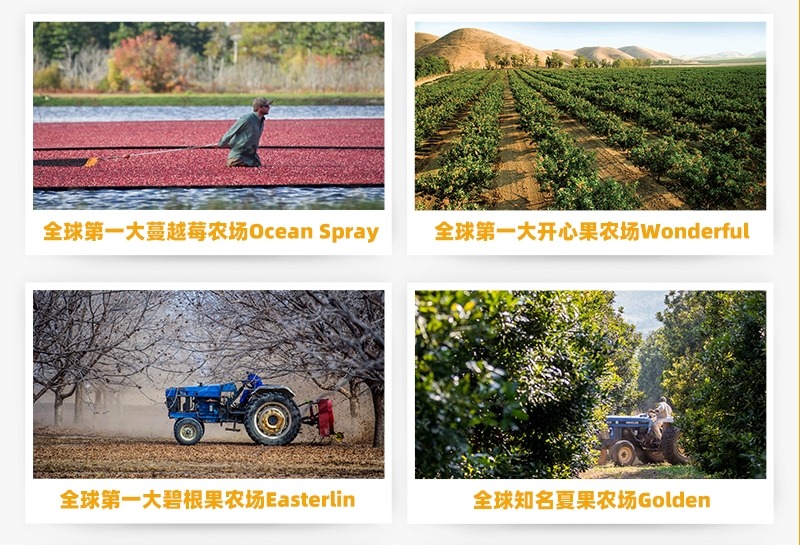 穿越“至暗期”后，三只松鼠的“百亿路”稳了吗？