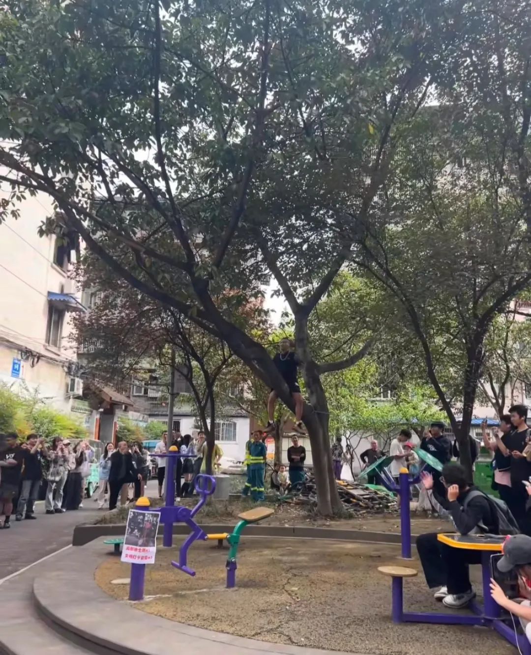 诺米么与“成都迪士尼”，如何成就2024第一个出圈音乐营销？