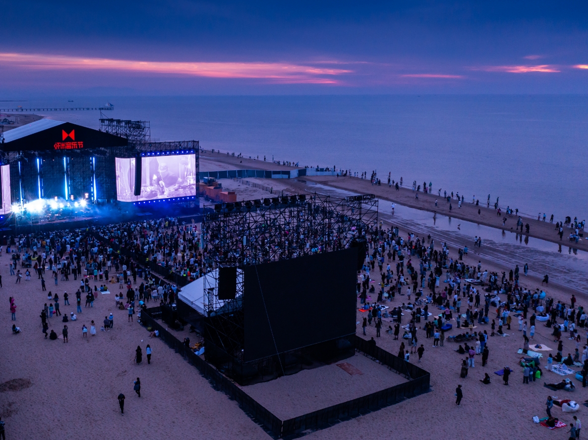 2024财年大麦票务市占显著领先，演唱会头部项目覆盖率近100%