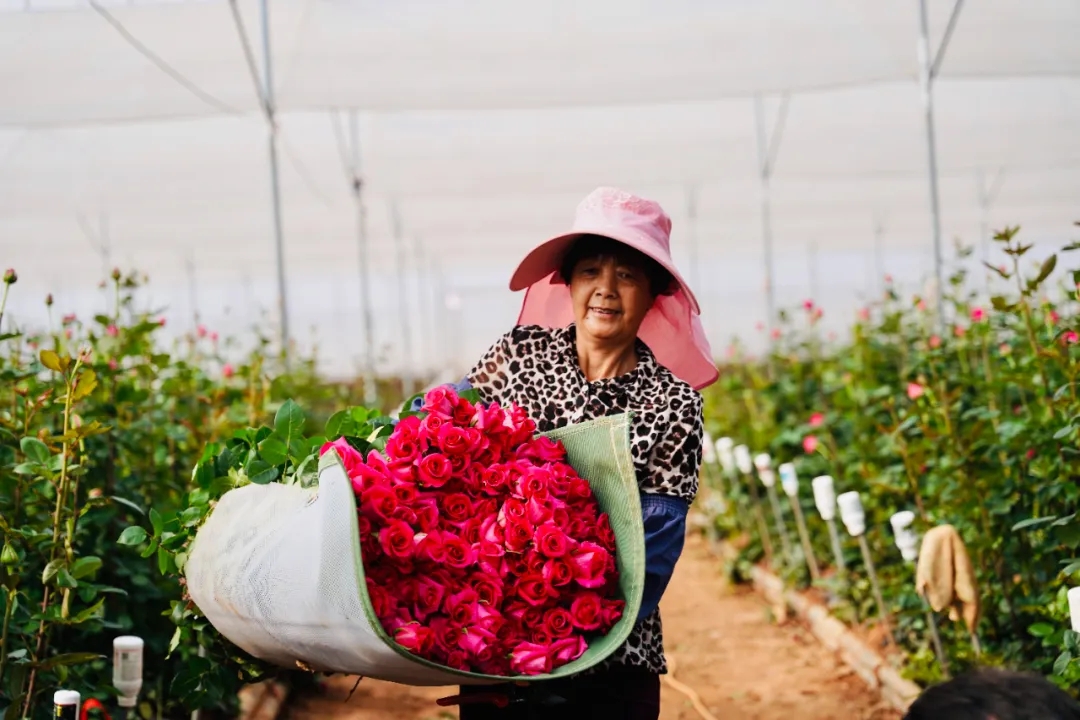 用常识滚雪球：拼多多的内生价值，九年的变与不变