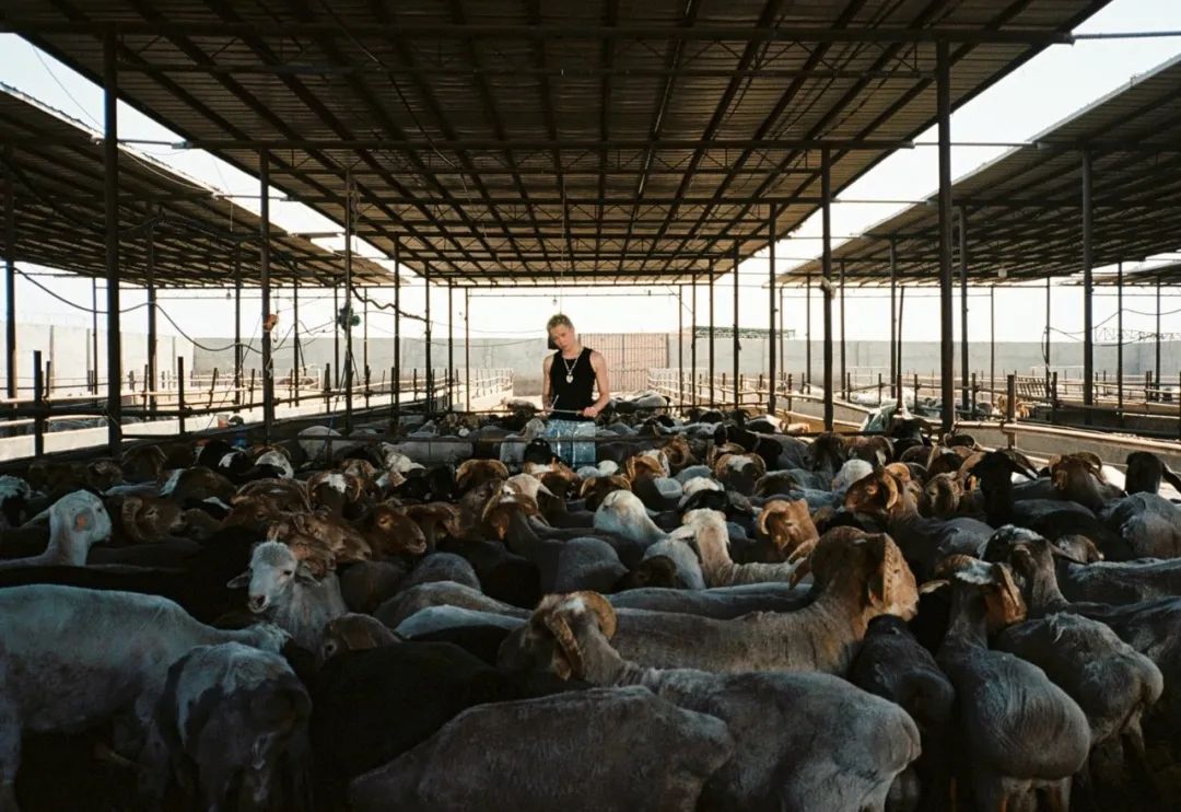 小镇青年如何成为Rapstar？