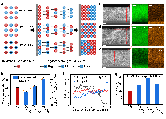 TCL华星与北交大ACS Nano：共沉积策略实现多粒子高精度调控及图案化