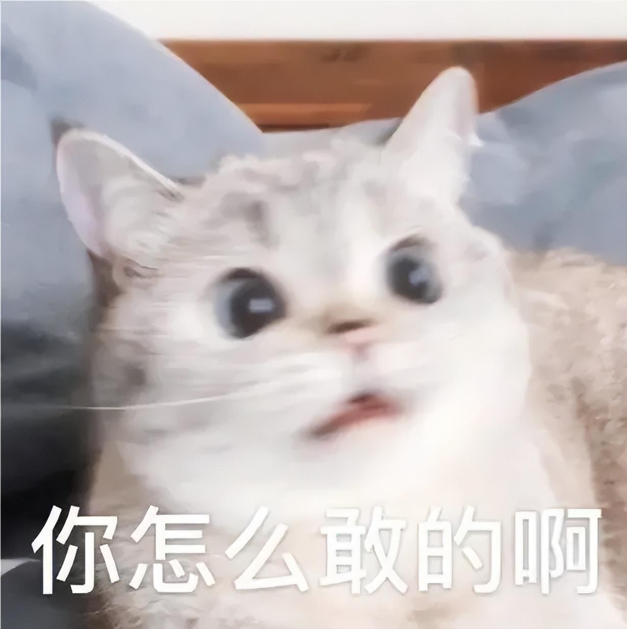 年息2130%，95后搞网贷收割小镇青年杀疯了……