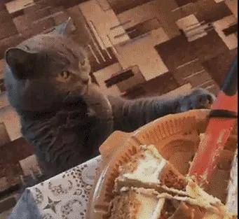 几十家共用一证，开在垃圾站旁…谁在逼外卖商家走钢丝？