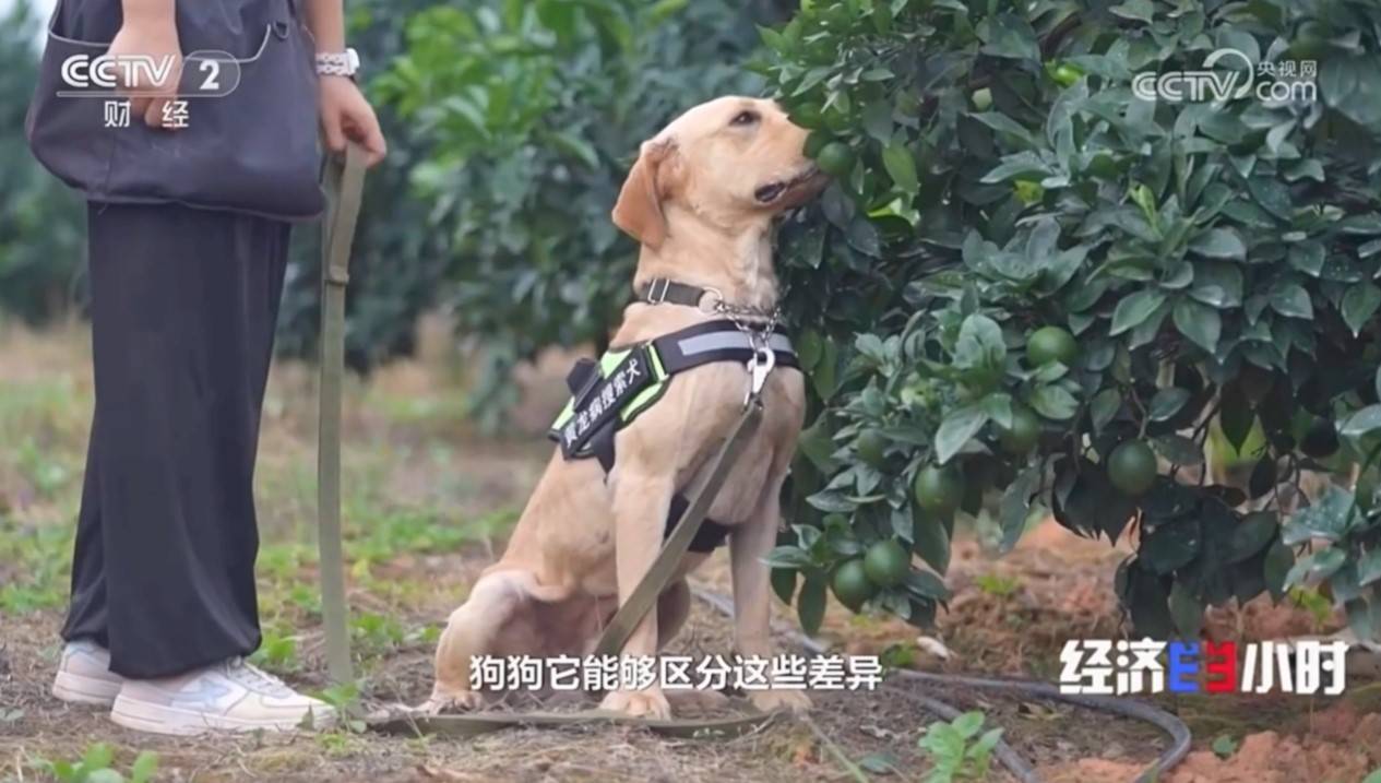 等待天亮的钟睒睒：一个理想主义者的坚守与情怀