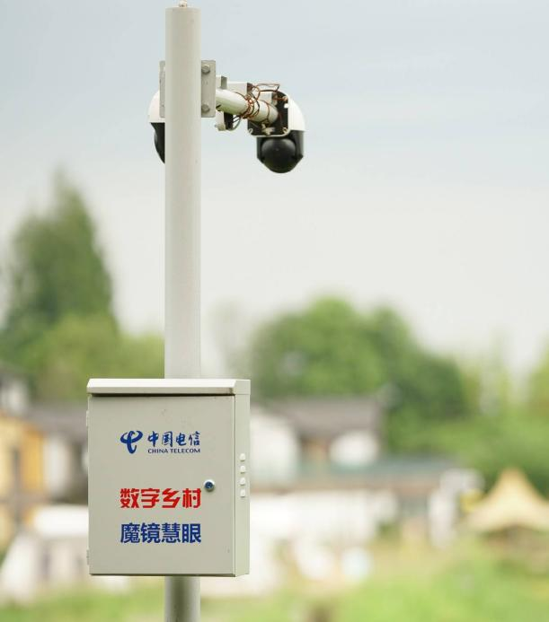 “易碎”的留守农村人，都在被AI智能监控“兜住”