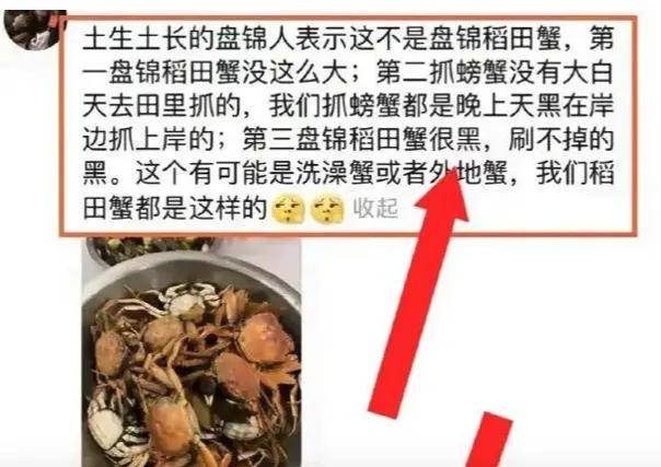 东北雨姐摆拍后又被爆打人？网红就应该断了带货念头……