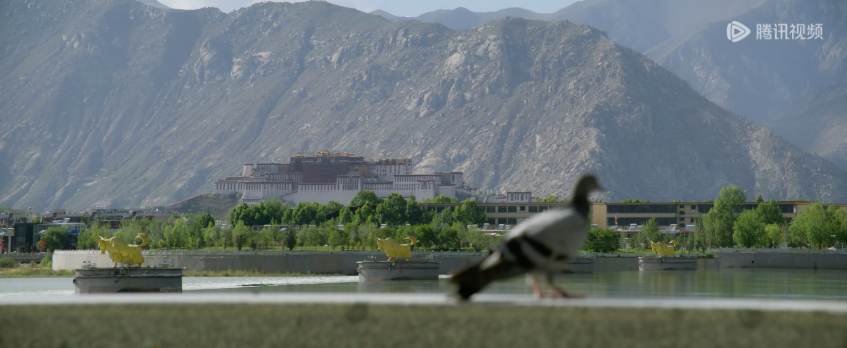 《日光之城》平淡收官，返乡剧、文旅剧热潮如何延续？