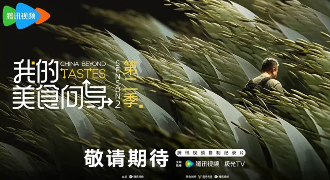 2025，在鹅综实现“精神碳水”自由