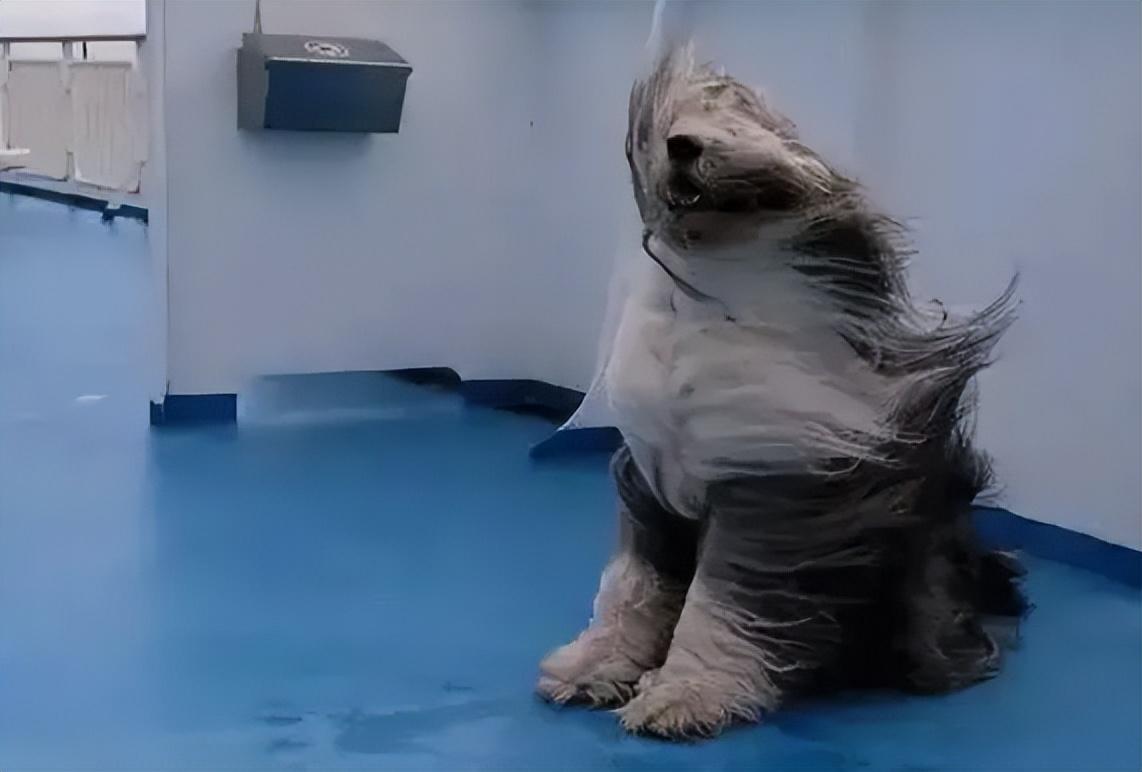 花9990买到十部iPhone！标错价歪风终于有人治了！