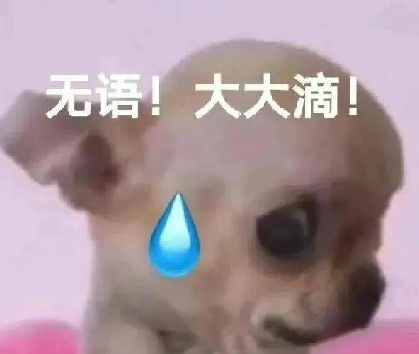 会费三四千！现在办网贷竟要开会员了？