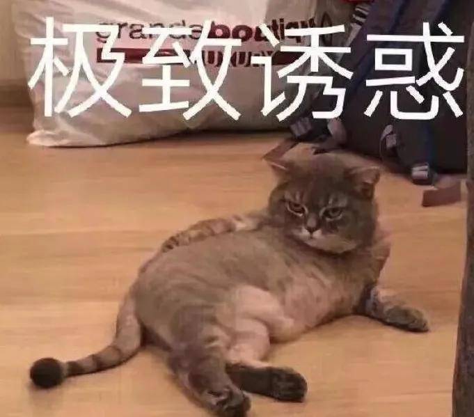 会费三四千！现在办网贷竟要开会员了？