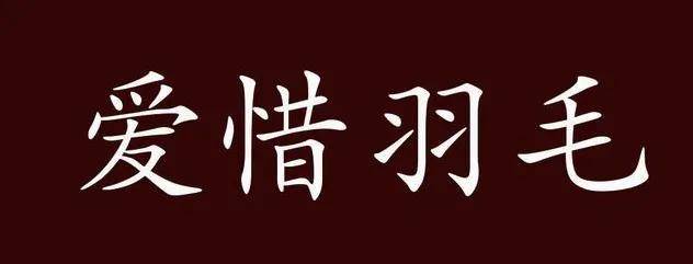 量子石墨烯后虫草内裤又杀疯直播间！她一出手狂卖千万……