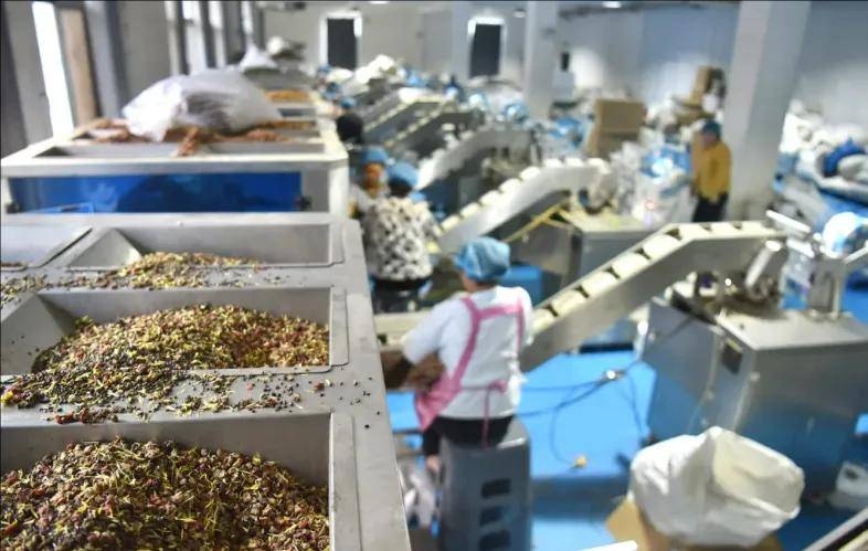 这个双11，新质供给在拼多多爆发