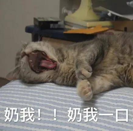 全员降薪、取消新订单交付……又一车企大收缩！