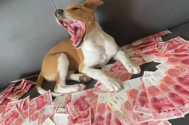 3年被仅退款20万商家千里追踪，平台变态机制正毁掉电商……