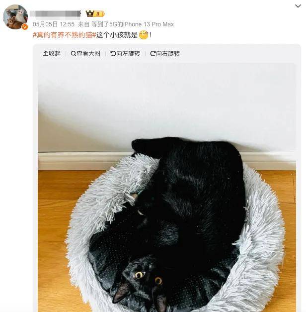 宠物粮被爆狂加蒙脱石！他们对毛孩子下手，铲屎官天塌了…