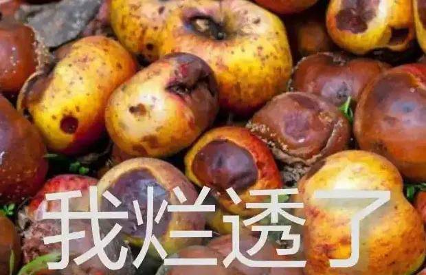 3年被仅退款20万商家千里追踪，平台变态机制正毁掉电商……