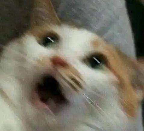 塔斯汀中国汉堡又叒给顾客吃生肉！网友：请别再碰瓷国货了