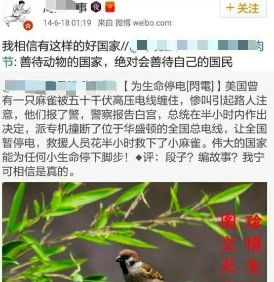 全球网民小红书大对账！网友亮出喝过的洋吹杂质毒鸡汤……
