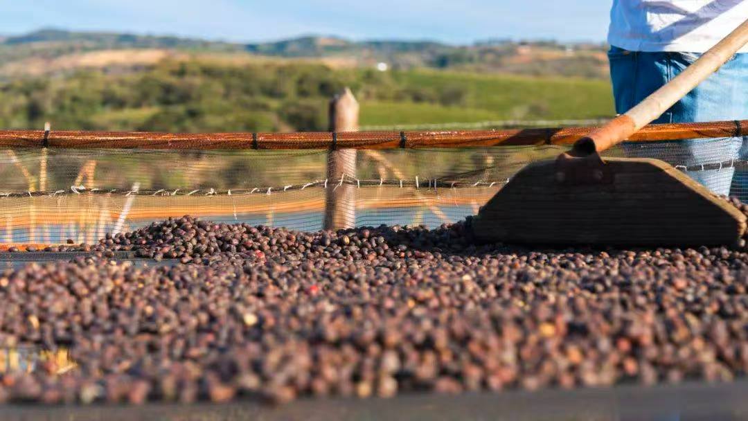 咖啡市场2025：从低价突围旧叙事，走向价值升级新地图