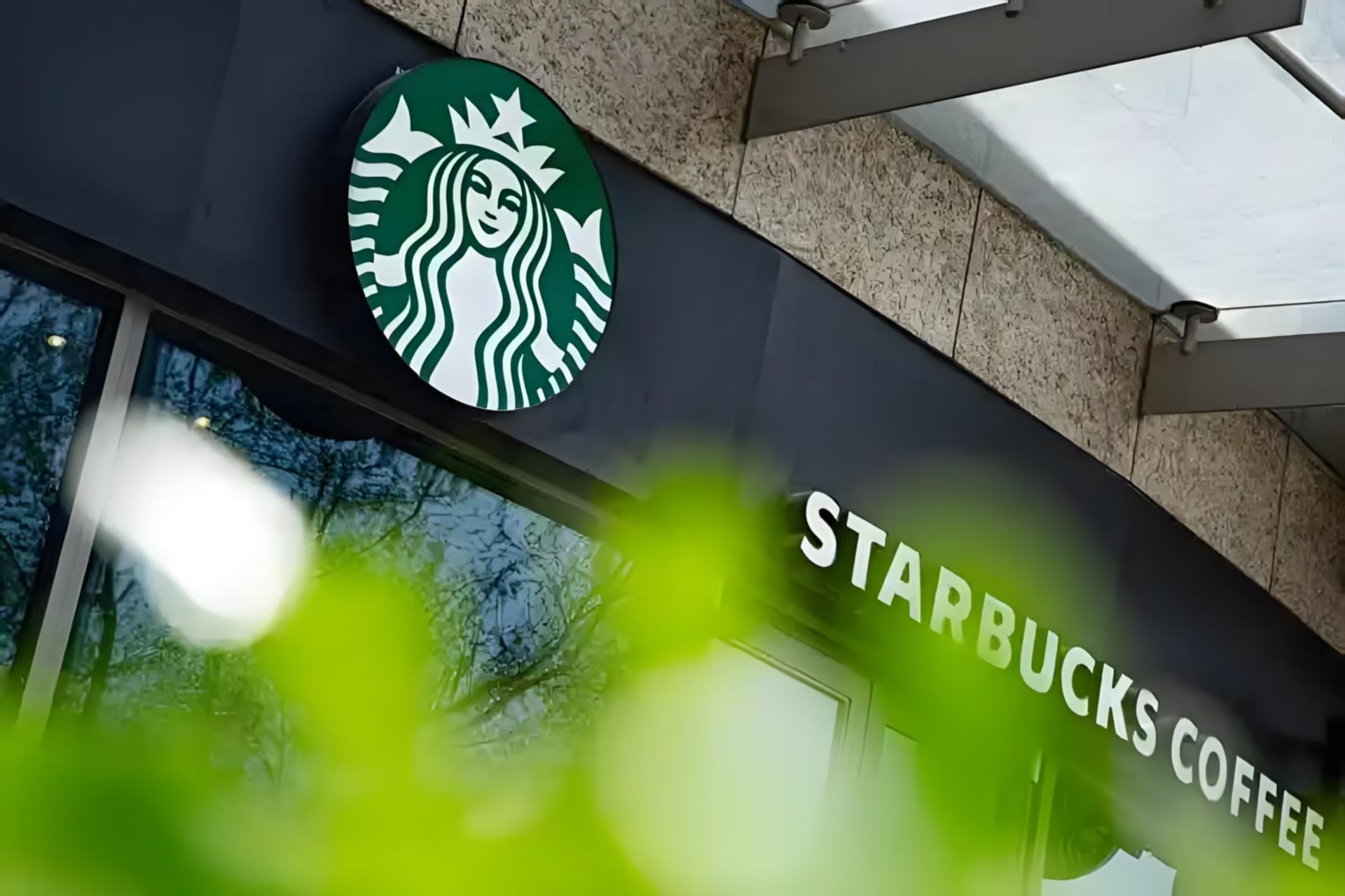 咖啡市场2025：从低价突围旧叙事，走向价值升级新地图