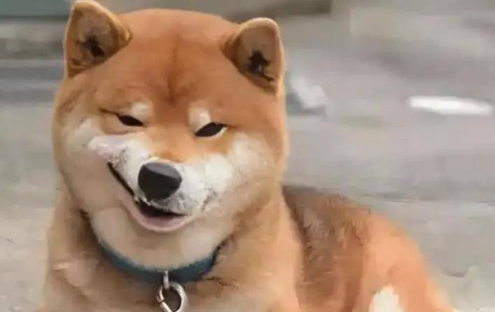 日薪600招不到人老板举钞票等人挑？看完网友绷不住了……