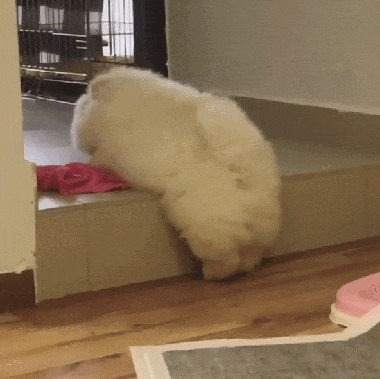 余承东称尊界99%抑制甲流冠状病毒！网友：建议进医保……