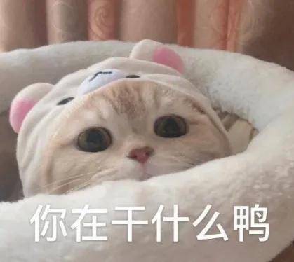 连环卫工也卷到35岁以下了，打工人又一退路被堵……