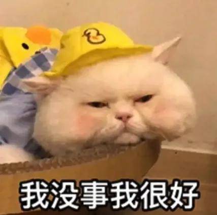 连续工作29小时，她们被好利来通报表扬了……