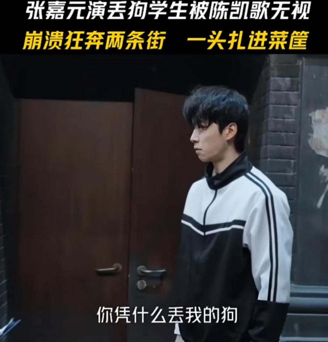 《演员请就位3》，开年第一颠综