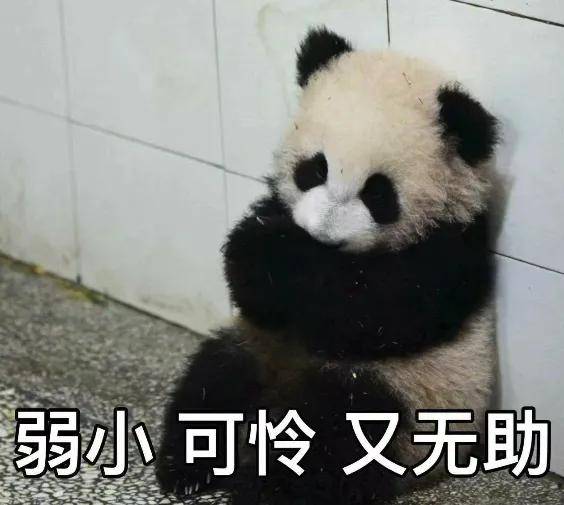 50万保额孩子身故只退保费，商保的碗快被他们摔光了