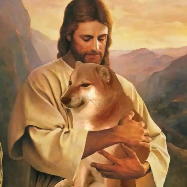 50万保额孩子身故只退保费，商保的碗快被他们摔光了