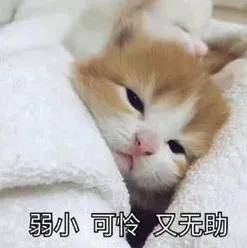 50万保额孩子身故只退保费，商保的碗快被他们摔光了