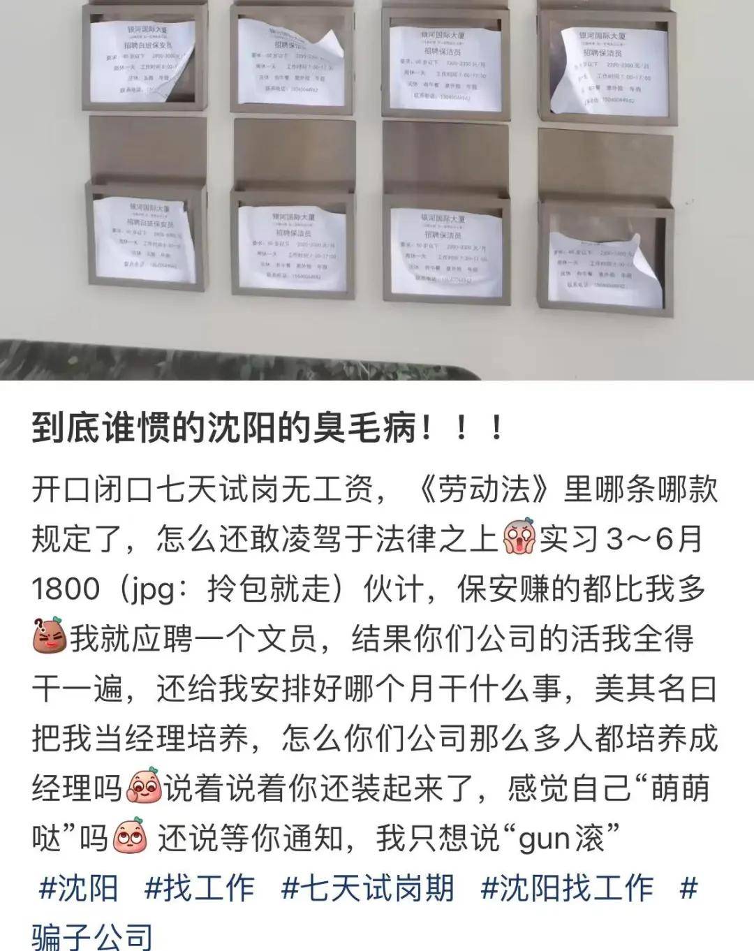 无薪试岗卷麻打工人！有人三个月试岗8家一分钱没拿到……