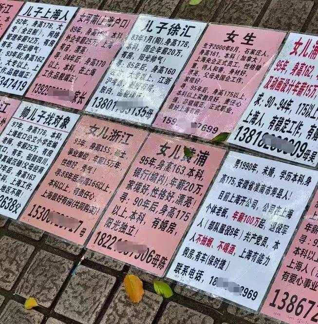 交完钱红娘失联注销公司？婚恋业极限套娃血洗缺对象的人……