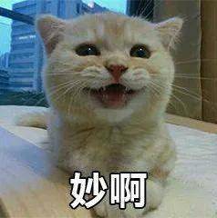 没钱消费可以分期啊！4000家银行血拼消费贷砸了网贷的锅