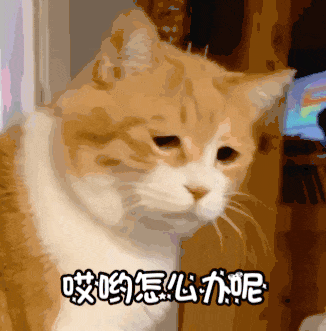 时入700，净赚50万…热搜上又挂满了摆摊暴富的年轻人