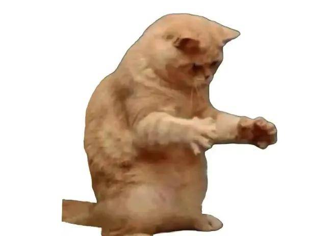 又一巨头联合攒的造车局，开始收缩只留售后了？