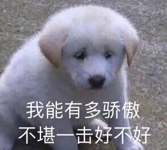 iPhone四年前古董机销量暴增10倍，国产旗舰集体破防