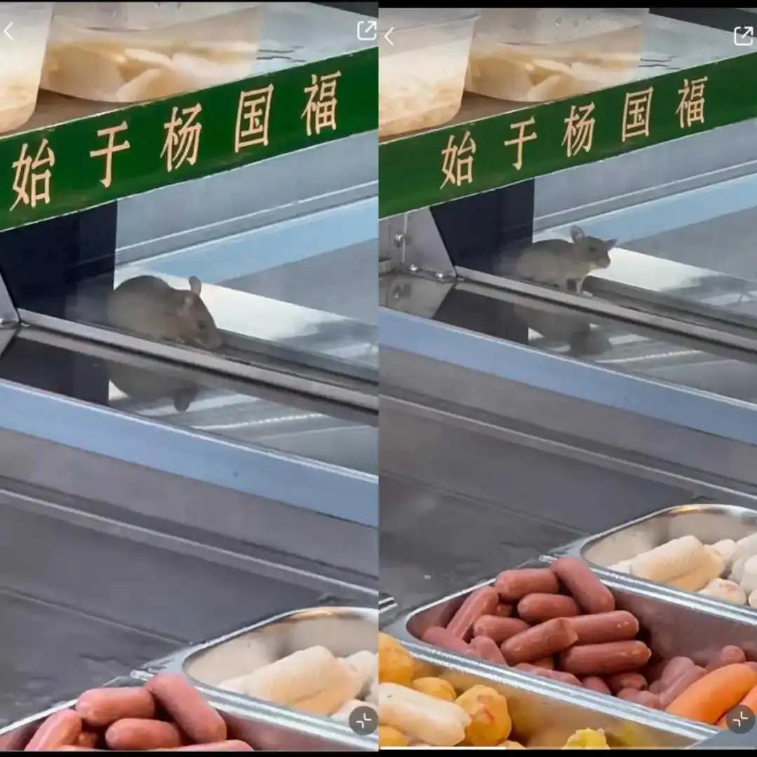 一只老鼠毁了麻辣烫第一股