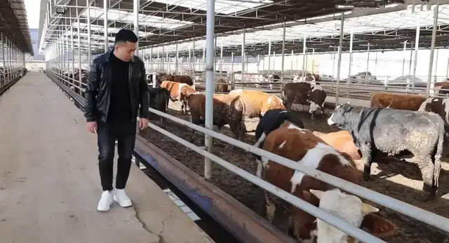 拼多多推出千亿扶持计划：重构电商新生态，助力商家完成新质转型