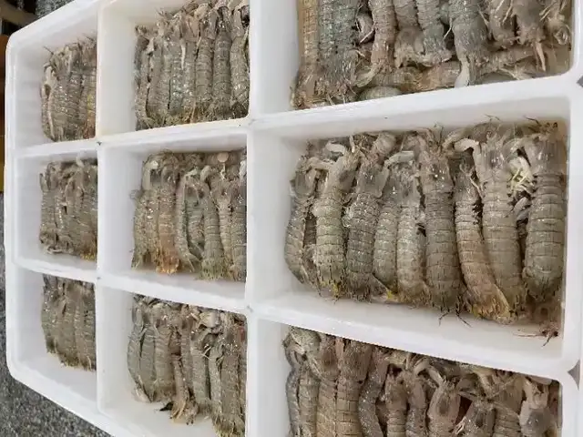 拼多多推出千亿扶持计划：重构电商新生态，助力商家完成新质转型